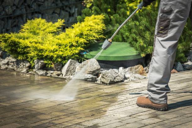 Best Soft Washing  in Brownsville, FL