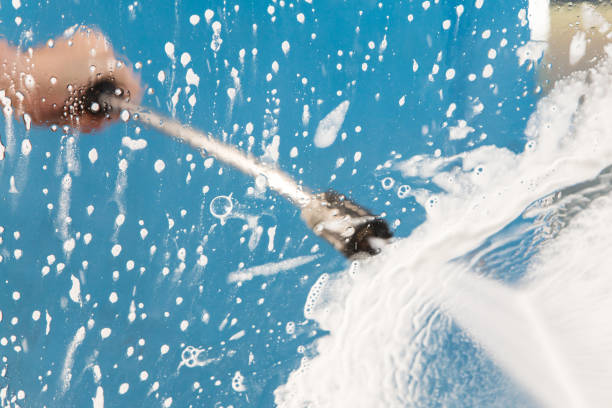 Best Roof Washing  in Brownsville, FL