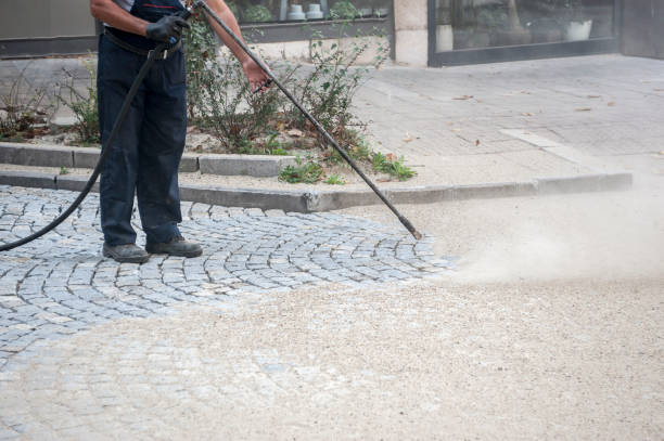 Best Spring Cleaning  in Brownsville, FL