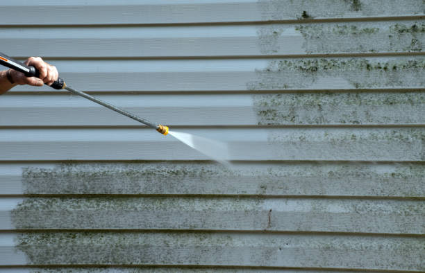Best Factory Floor Cleaning  in Brownsville, FL