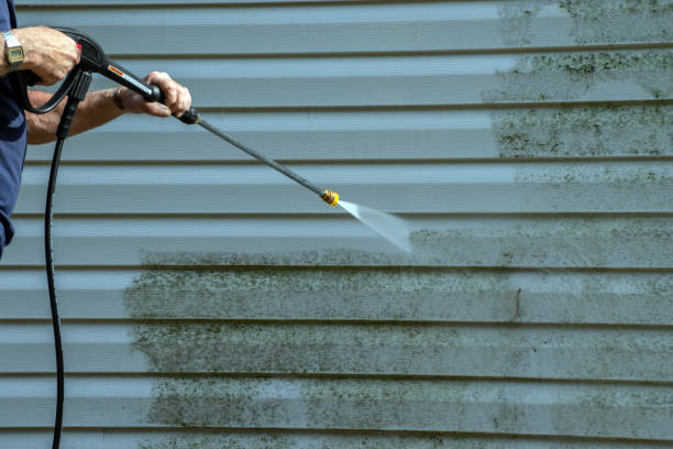 Best Solar Panel Cleaning  in Brownsville, FL