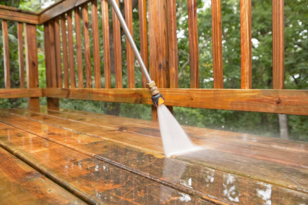 Best Dumpster Area Cleaning  in Brownsville, FL